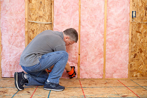 Best Types of Insulation in Kirkland, WA
