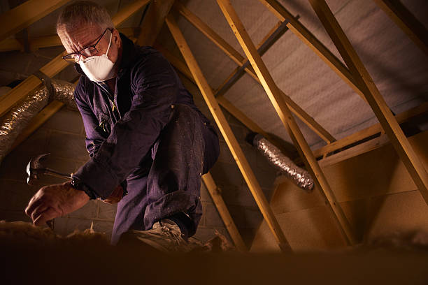 Best Insulation Maintenance and Repair in Kirkland, WA